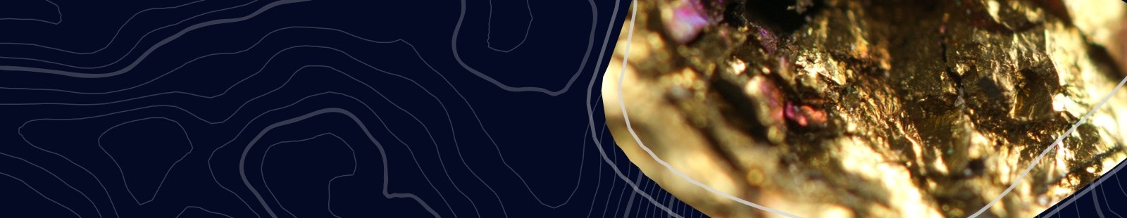 banner-home.jpg
